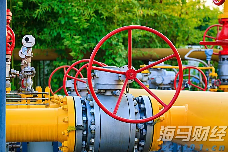 国家互联网信息办公室约谈英伟达公司关于H20算力芯片的安全风险