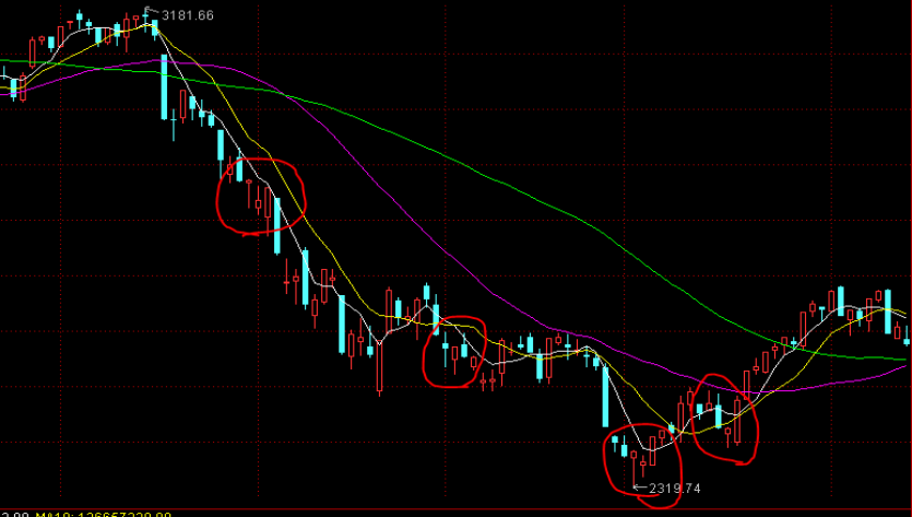 我市开展“贵港甄选”区域公共品牌采风活动