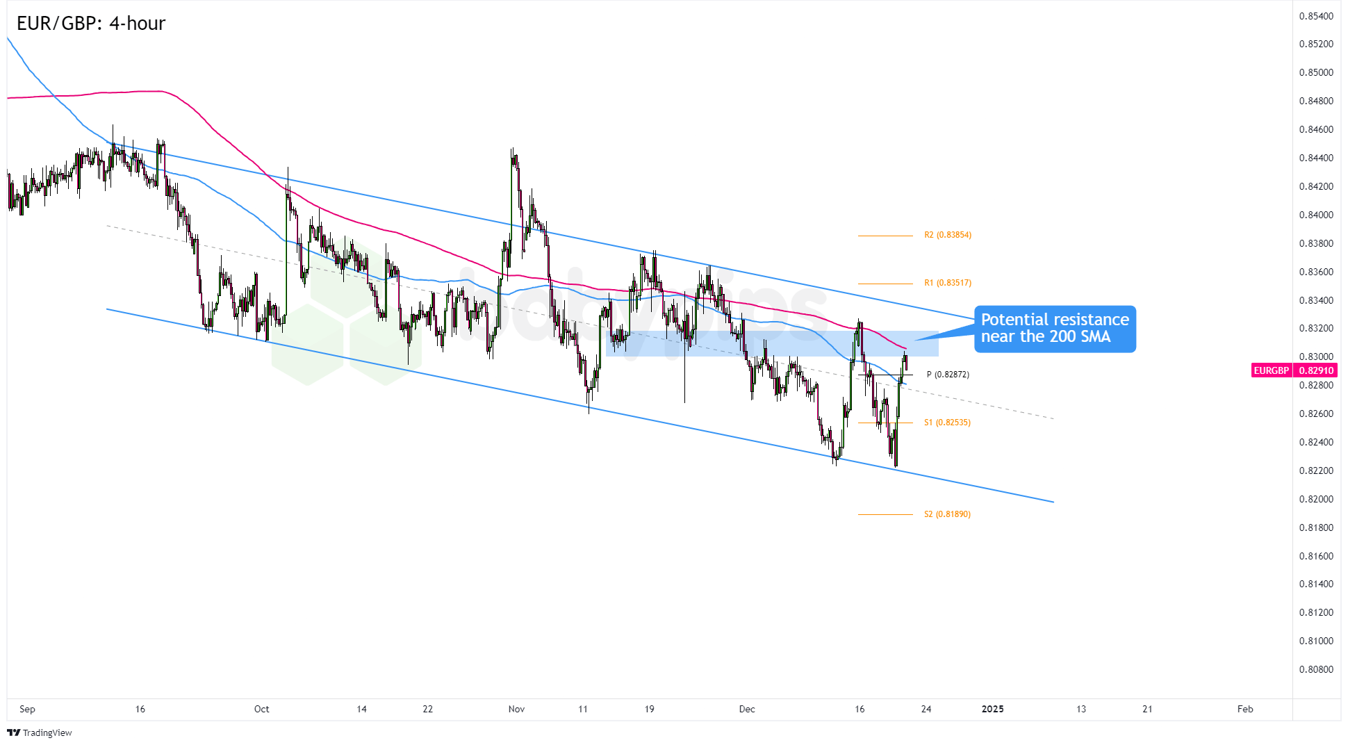 快讯丨市六届人大七次会议举行第二次全体会议